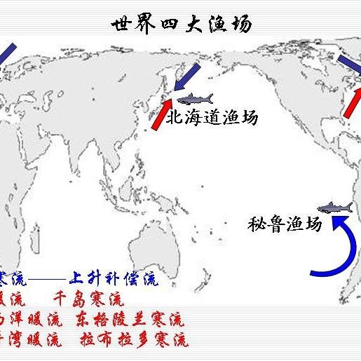 四大漁場的位置地圖（世界四大漁場）