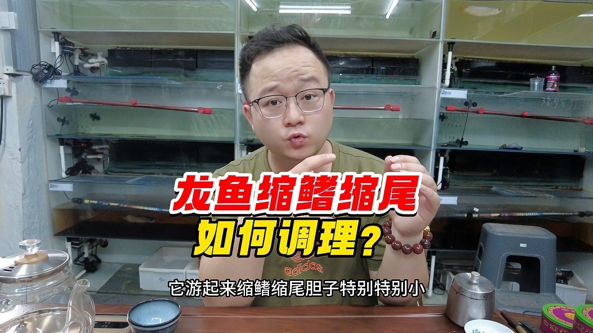 龍魚縮鰭縮尾（《龍魚縮鰭縮尾》）