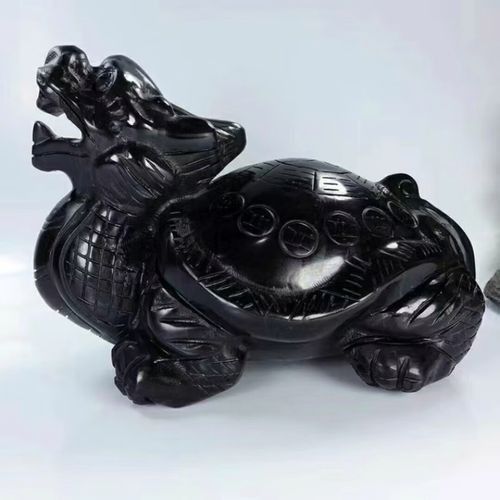 給我一張龍龜擺放的詳細(xì)示意圖(《龍龜擺放示意圖相關(guān)摘要》) 龍魚論壇 第23張 給我一張龍龜擺放的詳細(xì)示意圖(《龍龜擺放示意圖相關(guān)摘要》) 給我一張龍龜擺放的詳細(xì)示意圖(《龍龜擺放示意圖相關(guān)摘要》) 龍魚論壇 第23張