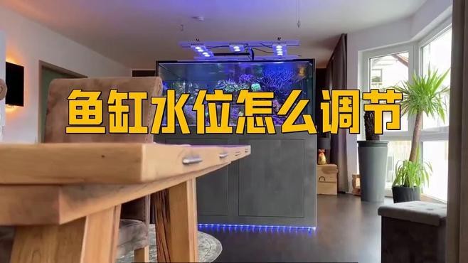 龍魚缸水位調(diào)整需要換水嗎？（《龍魚缸水位調(diào)整需要換水嗎？》）