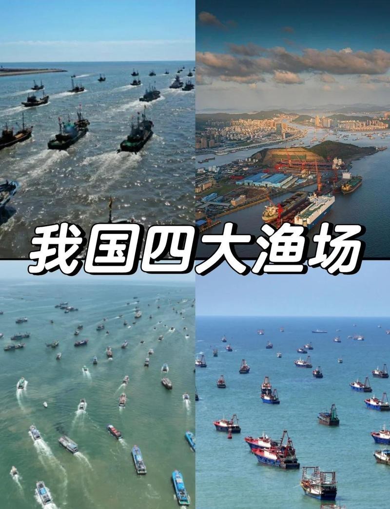 全國漁場分布圖（《溫暖水域孕育著金槍魚、呈現了我國各類漁場的高價值空間） 全國漁場分布圖（《溫暖水域孕育著金槍魚、呈現了我國各類漁場的高價值空間） 龍魚論壇 第2張