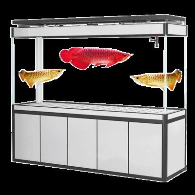 亳州市譙城區齊天大圣水族店（亳州市譙城區齊天大圣水族店電話）（亳州市譙城區齊天大圣水族店） 亳州市譙城區齊天大圣水族店（亳州市譙城區齊天大圣水族店電話）（亳州市譙城區齊天大圣水族店） 全國水族館企業名錄