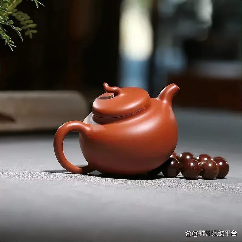 紅皮龍好還是朱泥好