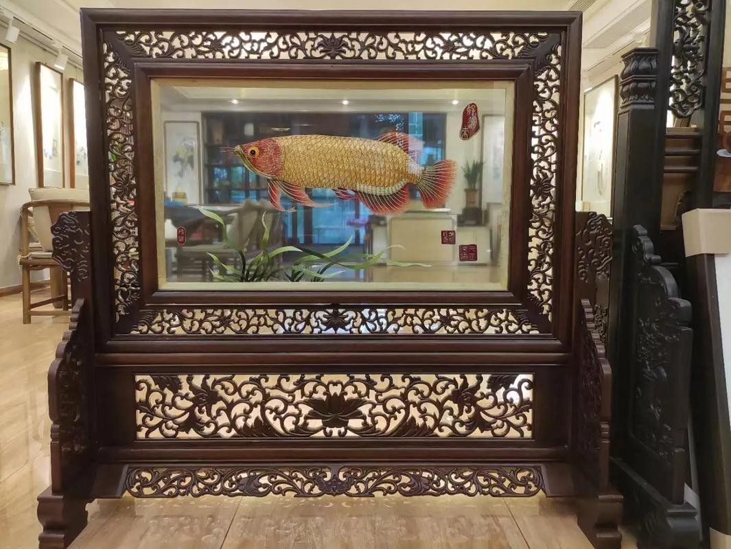 有沒有具體的龍魚擺放吉位圖示例？