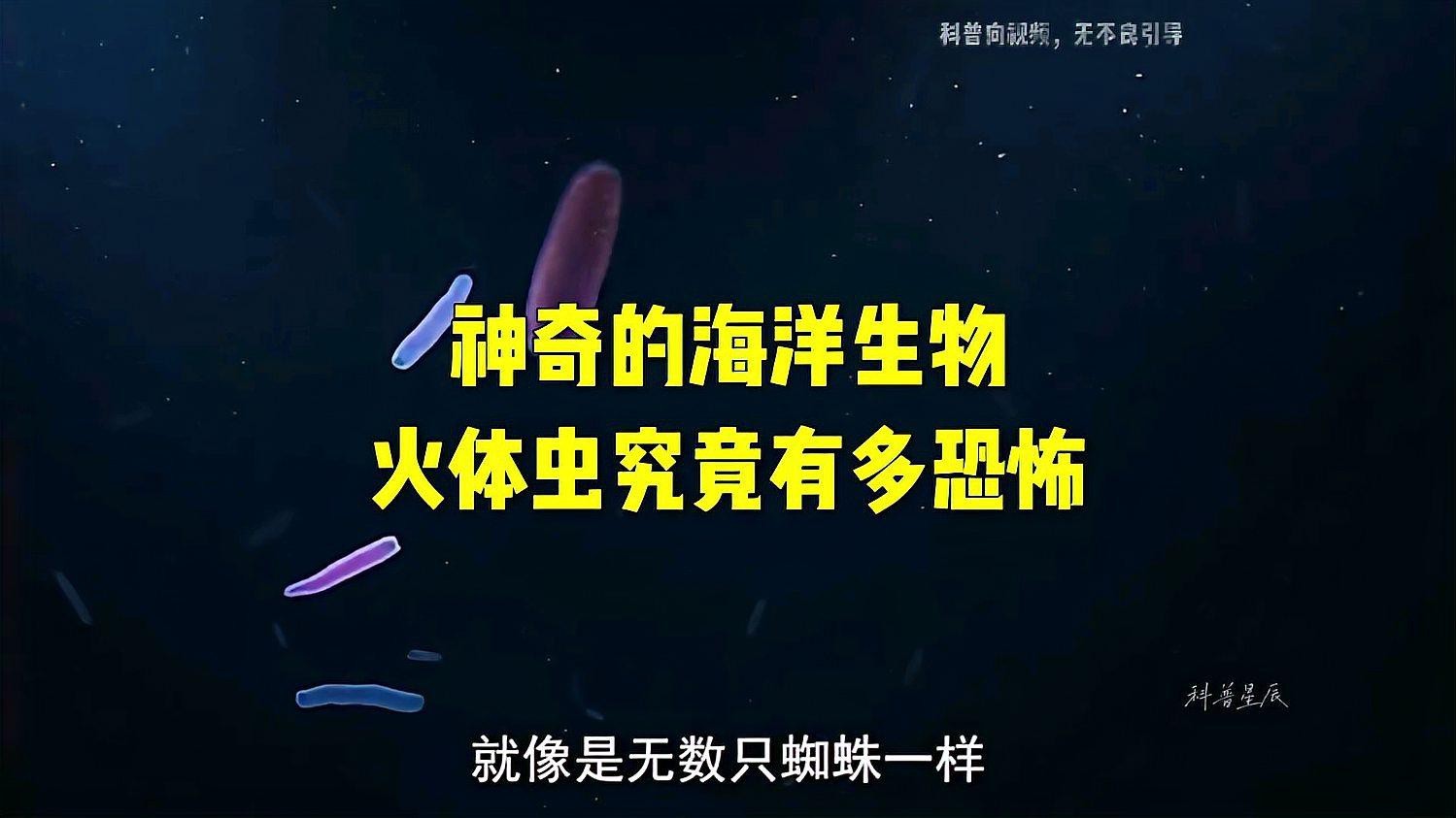 如何預防火龍魚疾病？ 如何預防火龍魚疾病？ 龍魚百科 第11張