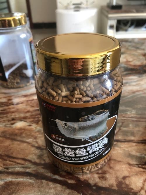 銀龍魚吃什么飼料顆粒好呢