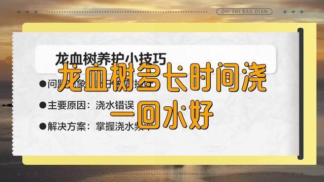 龍血樹多久澆一次水？ 龍血樹多久澆一次水？ 龍魚論壇 第5張