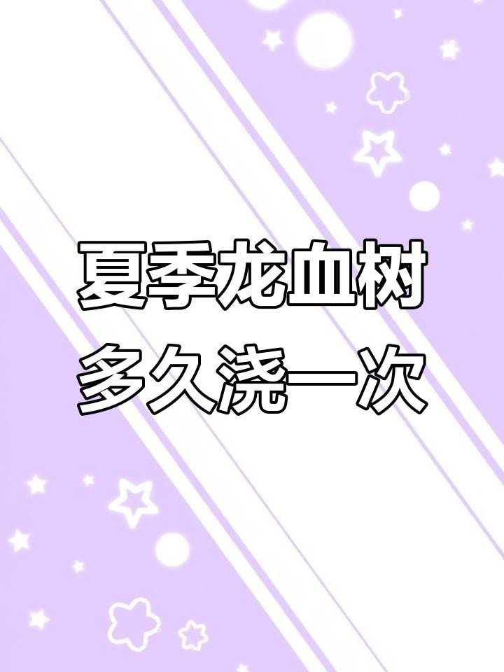 龍血樹多久澆一次水？ 龍血樹多久澆一次水？ 龍魚論壇 第6張