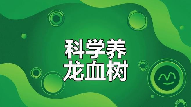龍血樹多久澆一次水？ 龍血樹多久澆一次水？ 龍魚論壇 第7張