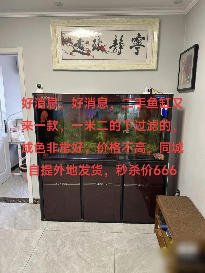 虎皮恐龍魚如何養才活久一些圖片