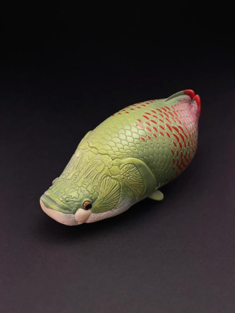 虎皮恐龍魚如何養才活久一些圖片