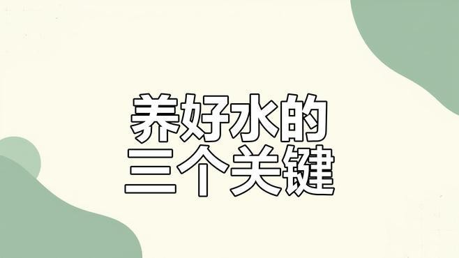 如何保持水質長期穩定？