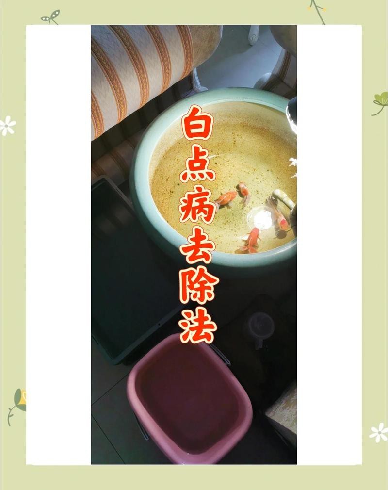 魚白點病最簡單治療加鹽