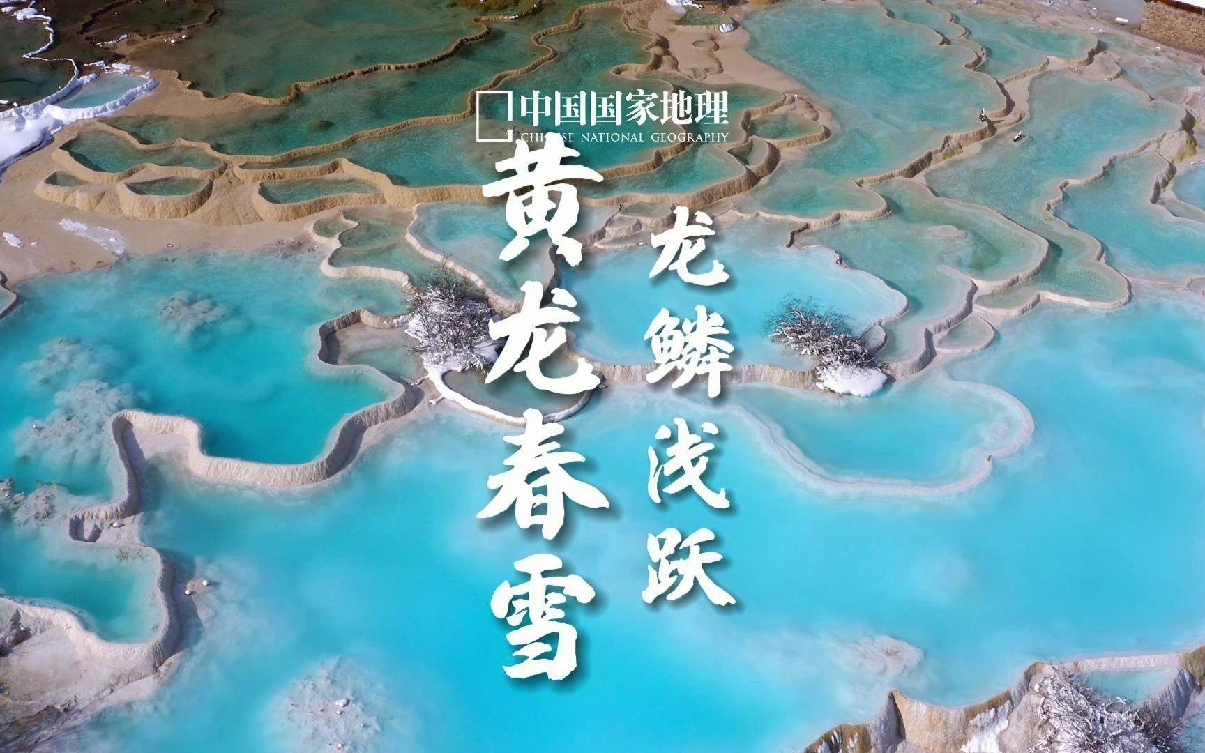 黃龍和金龍?jiān)诂F(xiàn)代文化中的表現(xiàn) 黃龍和金龍?jiān)诂F(xiàn)代文化中的表現(xiàn) 龍魚論壇 第1張