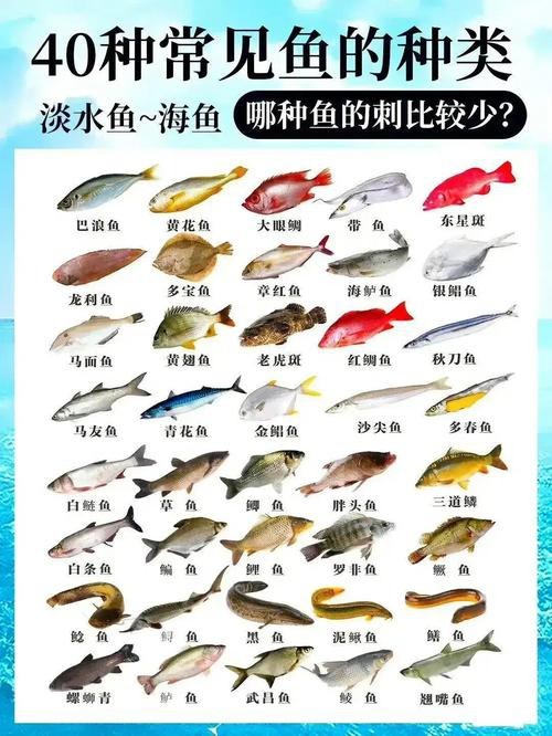 魚的種類圖片和名字