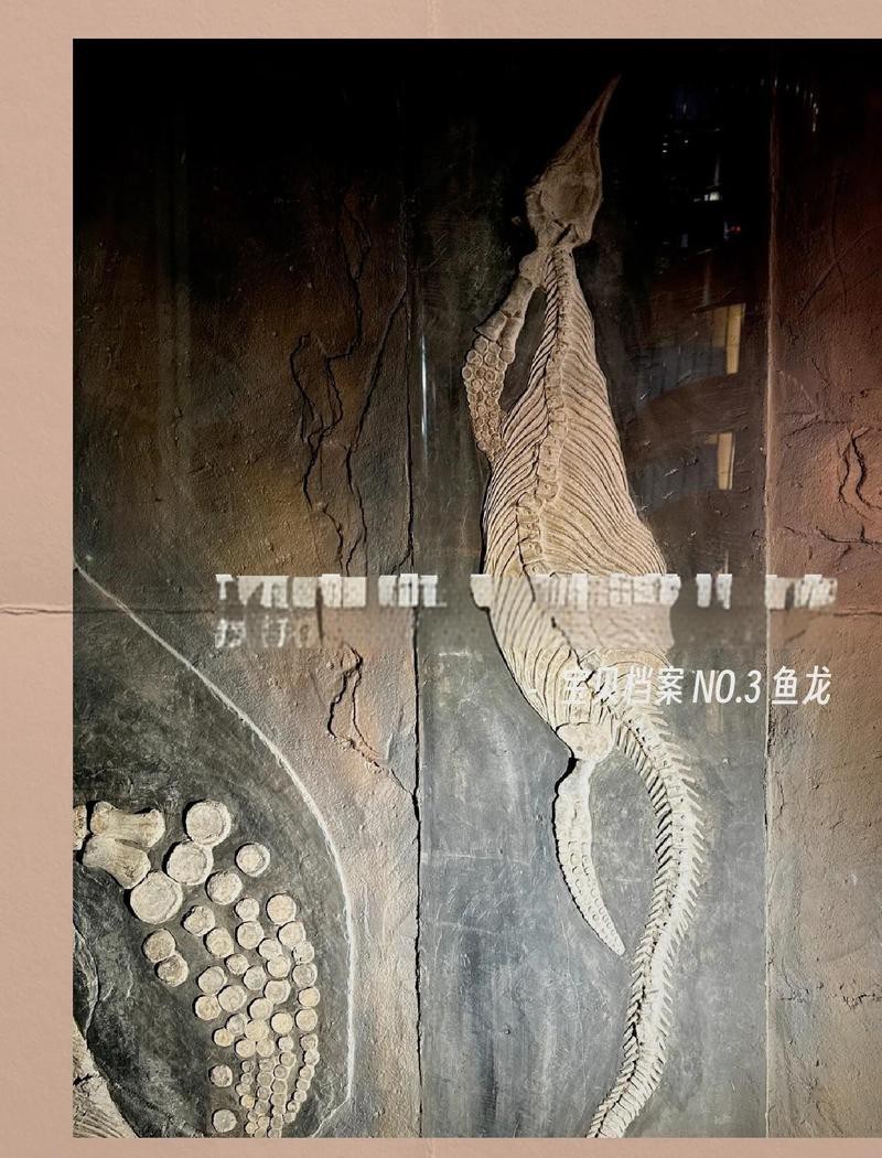 魚(yú)龍比喻什么