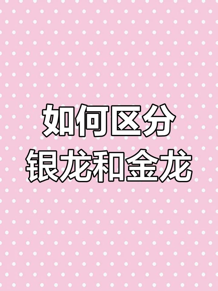 請(qǐng)?jiān)敿?xì)描述金龍魚和銀龍魚的外貌特征
