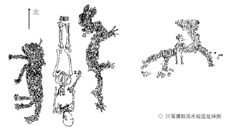 龍寓意什么人