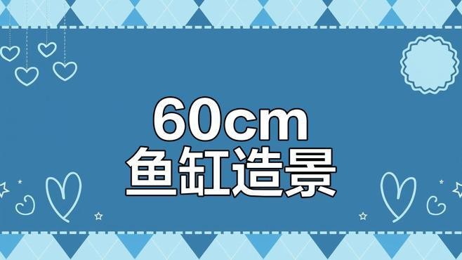 有哪些龍魚缸沉木造景案例