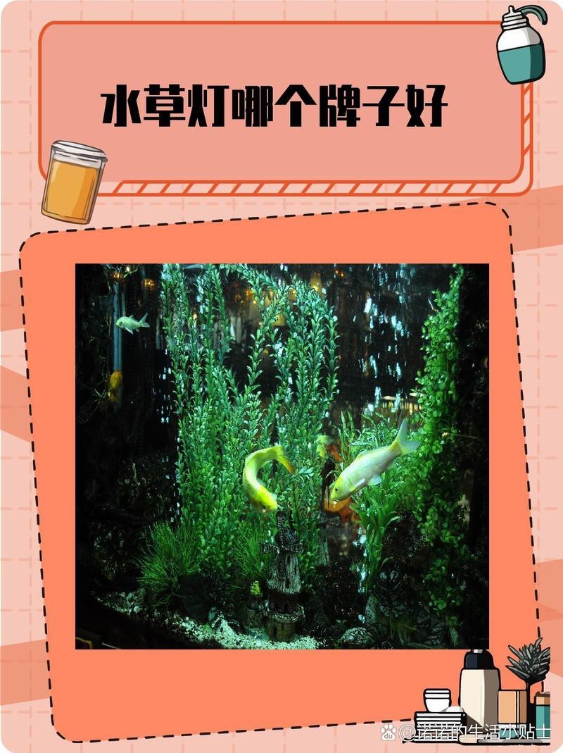 水草燈哪個牌子好