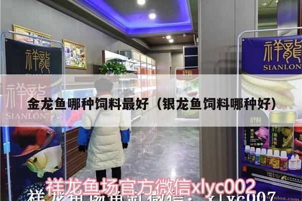 南寧市文俊水族店（南寧市文俊水族店電話號(hào)碼）