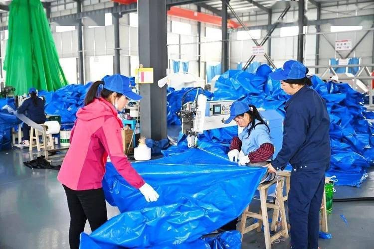 如何預防過背金龍鱗片類疾病？