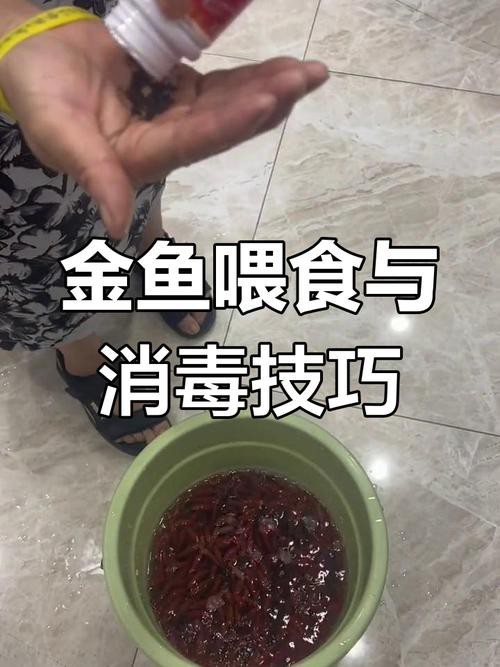 如何預防過背金龍鱗片類疾病？