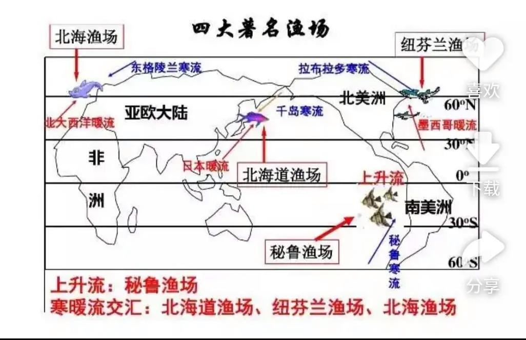 泗水龍魚多久喂一次食（泗水龍魚喂食日歷模板）