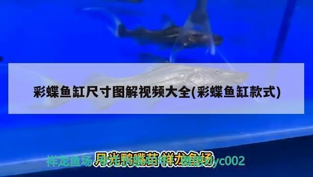 超血紅龍魚（超血紅龍魚是一種觀賞性極高的水族箱生物超血紅龍魚） 超血紅龍魚（超血紅龍魚是一種觀賞性極高的水族箱生物超血紅龍魚） 魚缸百科