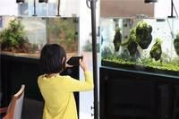 附近水族魚店 附近水族魚店 龍魚論壇 第15張