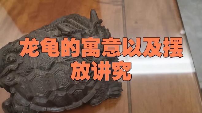 龍龜擺放高度有講究嗎？ 龍龜擺放高度有講究嗎？ 龍魚論壇 第5張