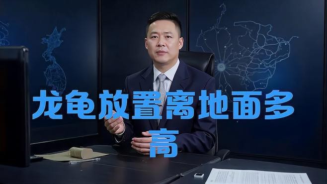 龍龜擺放高度有講究嗎？ 龍龜擺放高度有講究嗎？ 龍魚論壇 第2張