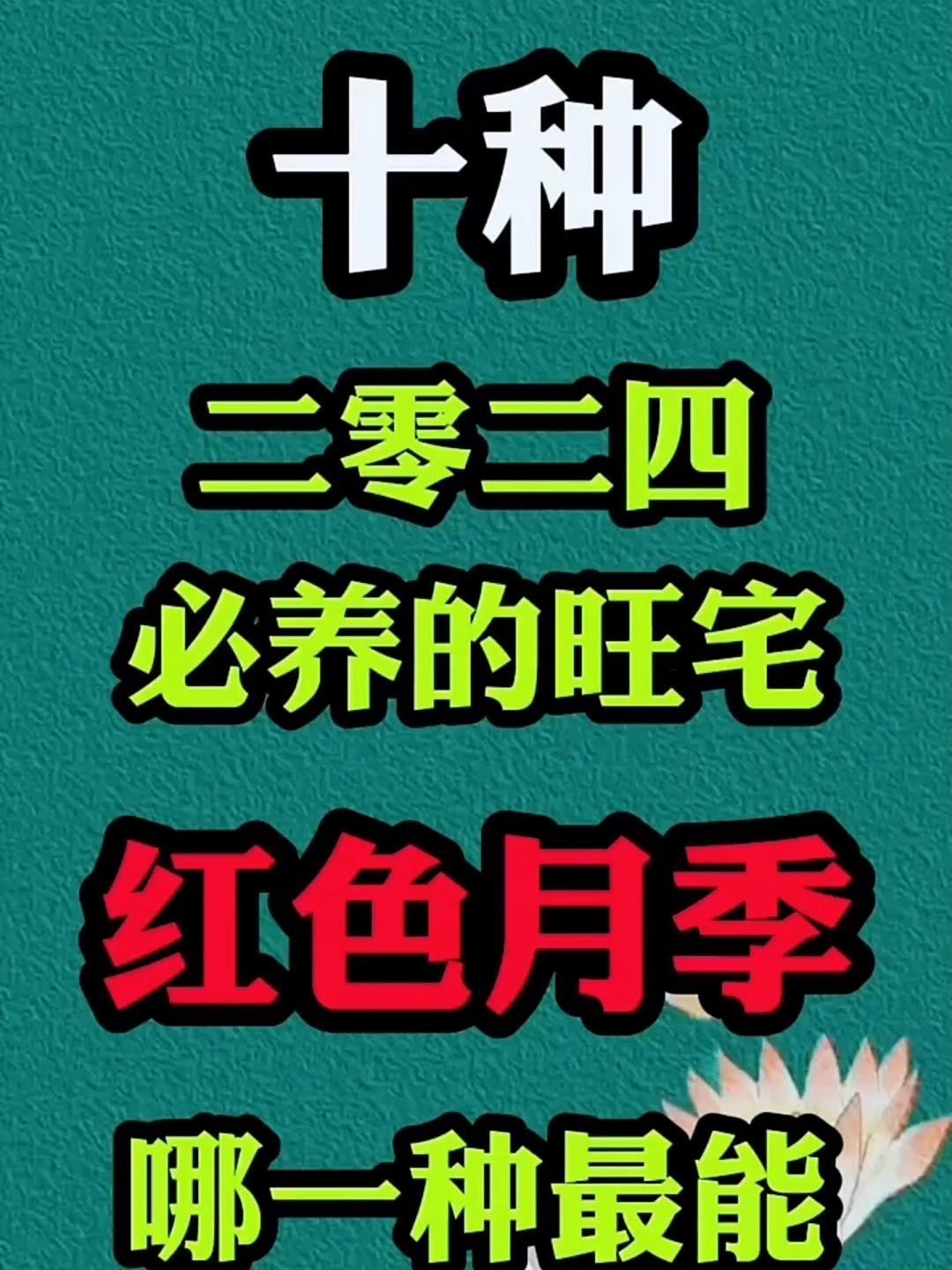 推薦一些紅色系的耐雨月季品種