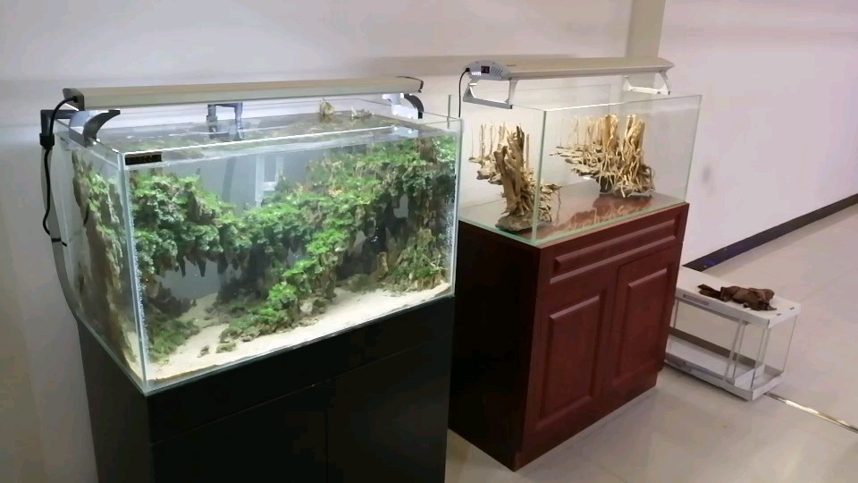 這幾天忙新店做景做好了一一發給大家看看