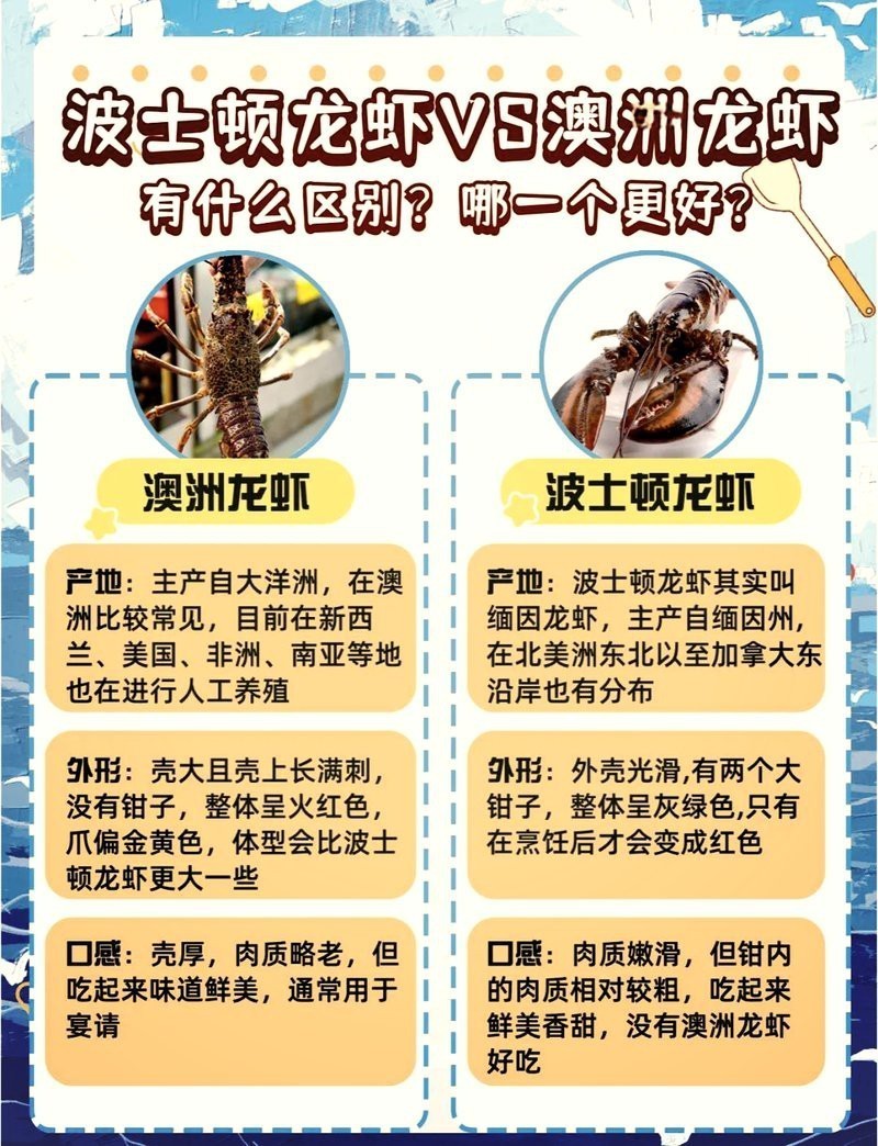 澳龍多少錢一斤2025