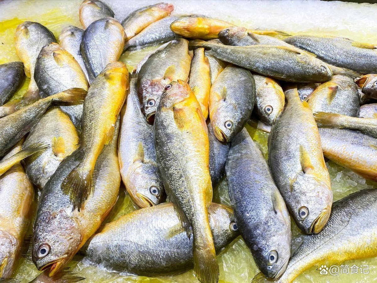 水鼻子魚為何要少吃