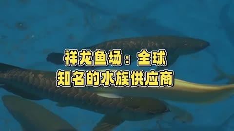 祥龍魚場在全國有哪些分店？