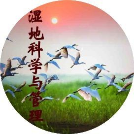 簡(jiǎn)易河水凈化方法