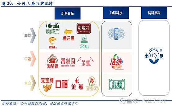 哪款魚缸好用（如何選擇一個適合自己的魚缸）
