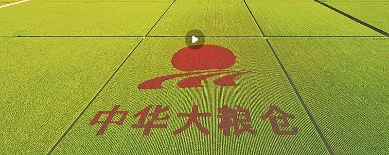 北大荒重大資產注入