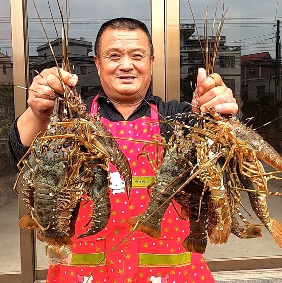 紅石斑是什么檔次的魚 紅石斑是什么檔次的魚 龍魚論壇 第6張