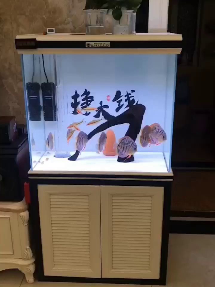 龍魚缸背景圖多久換一次