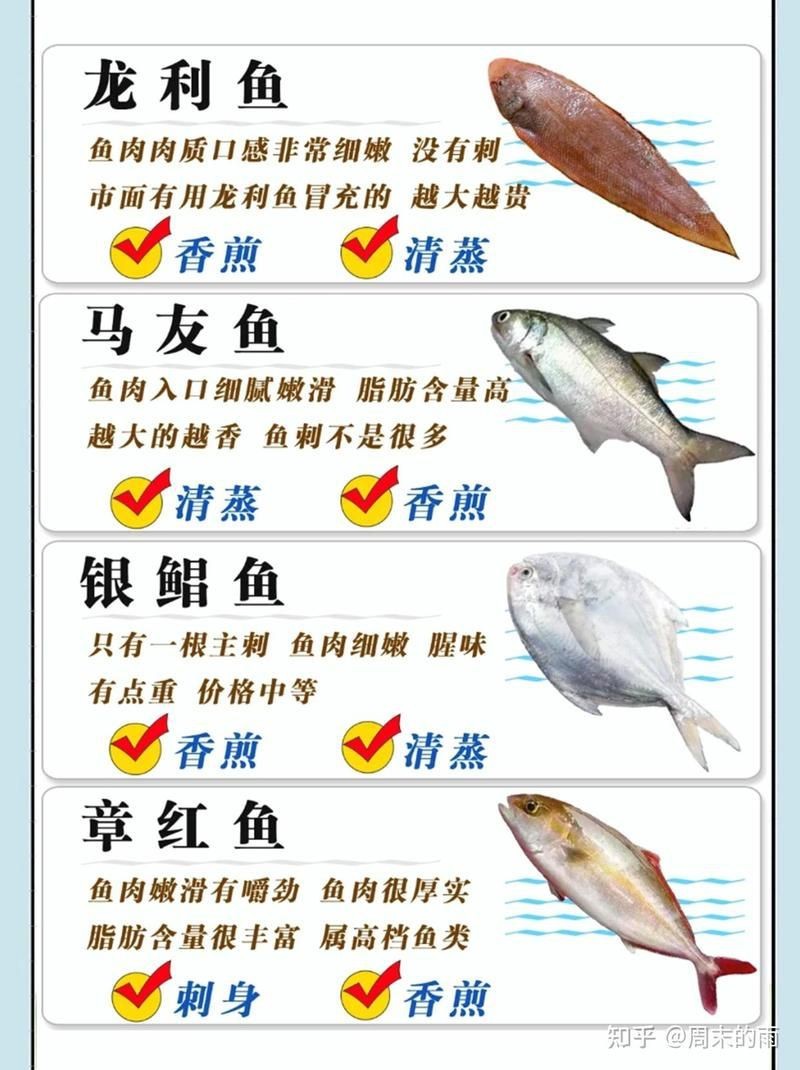 海魚大全500種 海魚大全500種 龍魚論壇 第6張