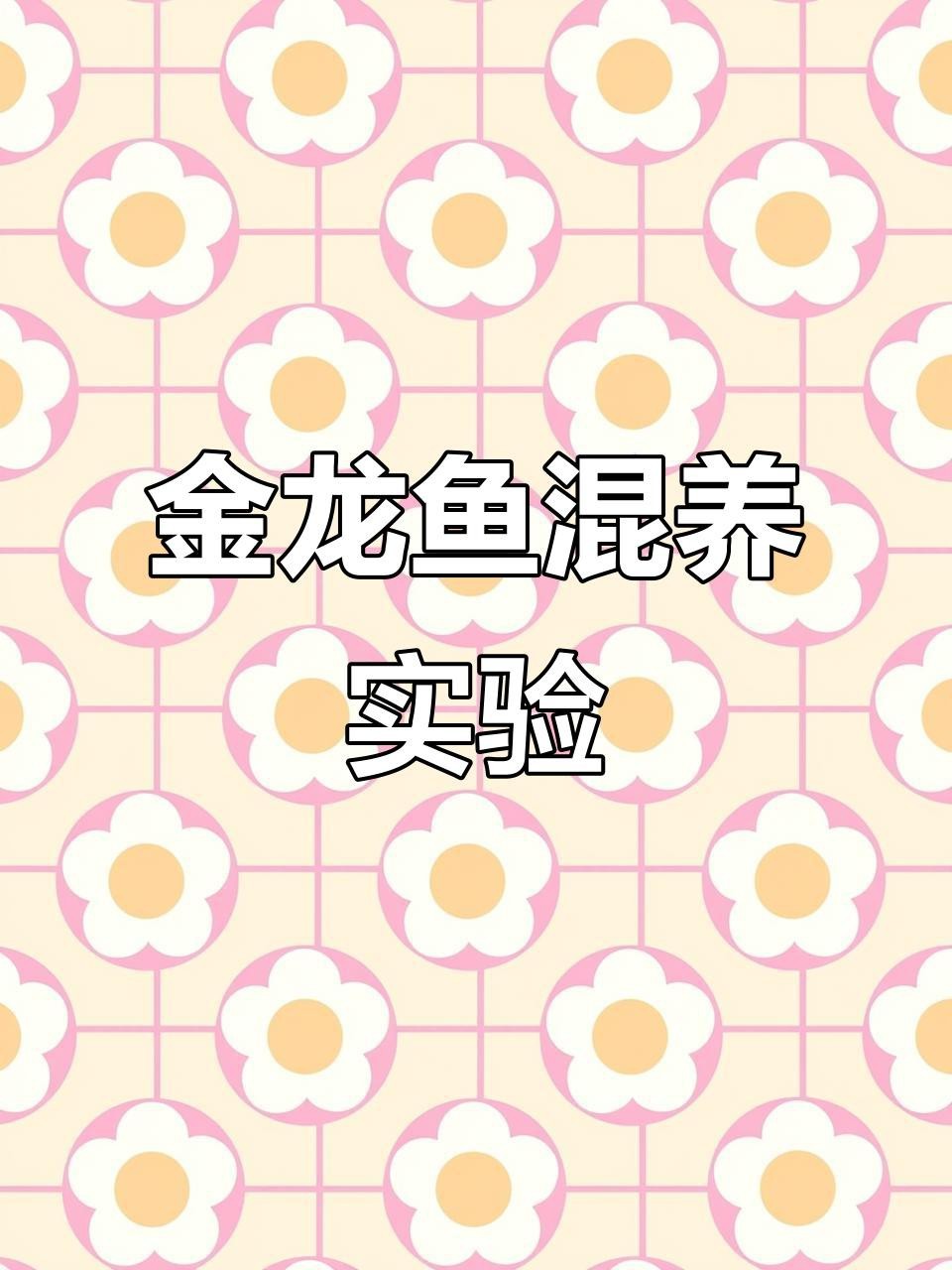 有沒有金龍魚混養的視頻？