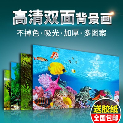 魚缸尺寸圖片大全