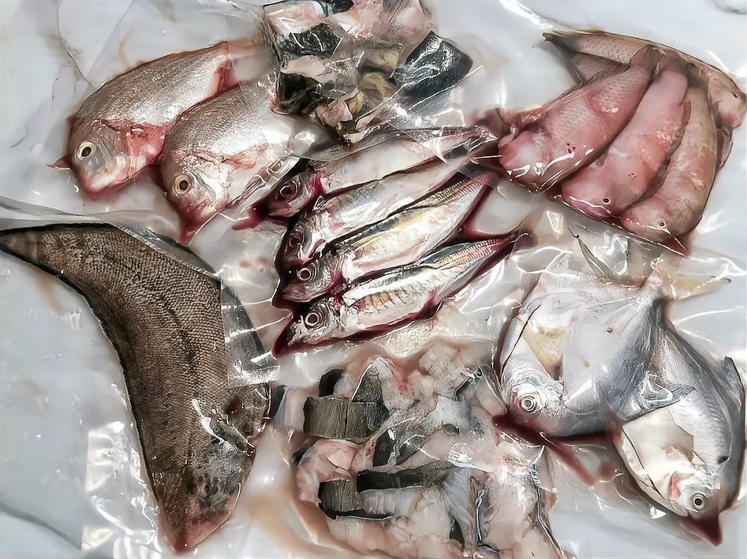 淡水魚盲盒