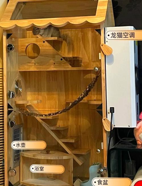 如何預防龍貓攜帶病毒? 龍魚百科 第3張 如何預防龍貓攜帶病毒? 如何預防龍貓攜帶病毒? 龍魚百科 第3張