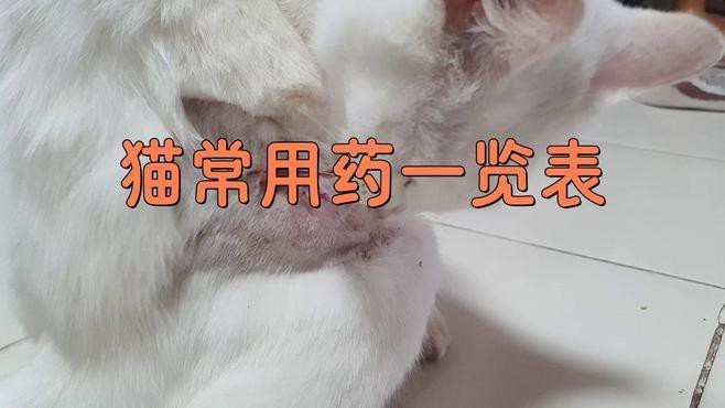 如何預防龍貓攜帶病毒？ 如何預防龍貓攜帶病毒？ 龍魚百科 第15張