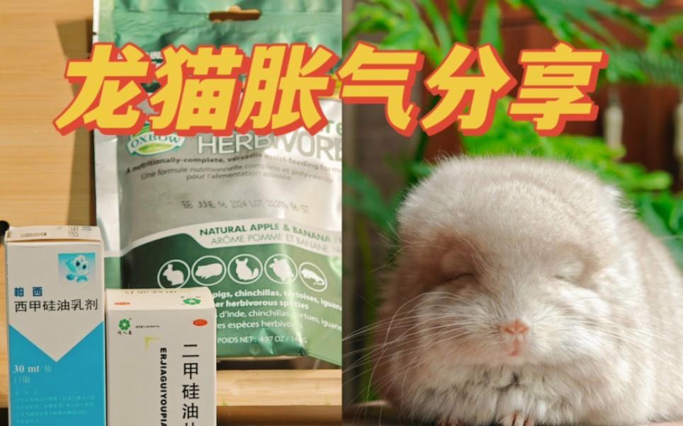 如何預防龍貓攜帶病毒？ 如何預防龍貓攜帶病毒？ 龍魚百科 第14張