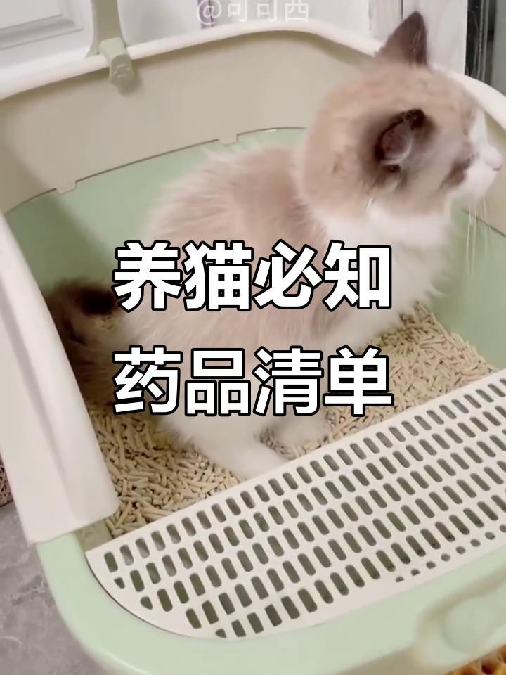 如何預防龍貓攜帶病毒？ 如何預防龍貓攜帶病毒？ 龍魚百科 第19張